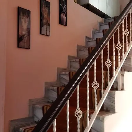 New * Pogradaş