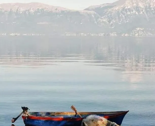 New * Pogradec